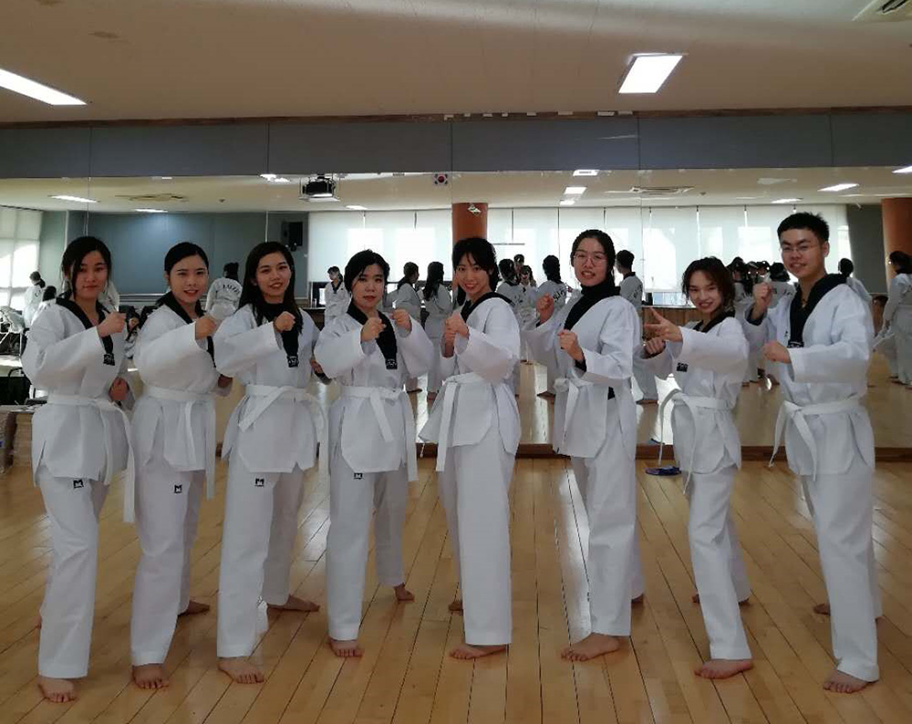 同学们学习跆拳道 同学们学习跆拳道